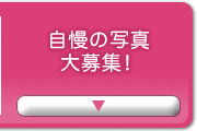 自慢の写真大募集！